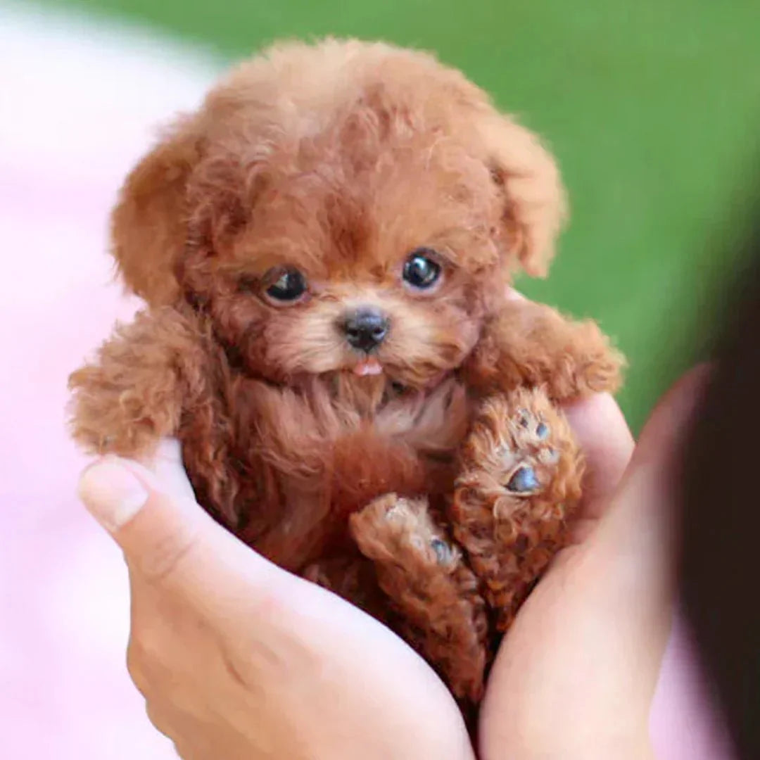 Interactieve Pluchen Hond Realistische Bewegingen & Knuffelplezier met zachte bruine vacht en levensechte ogen in hand gehouden