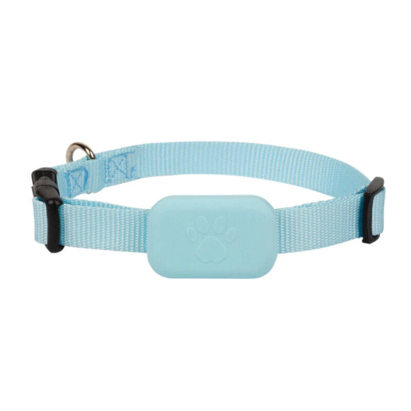 GPS Tracker voor Hond en Kat - Halsband met GPS tracker in lichtblauw met verstelbare band en compacte tracking module