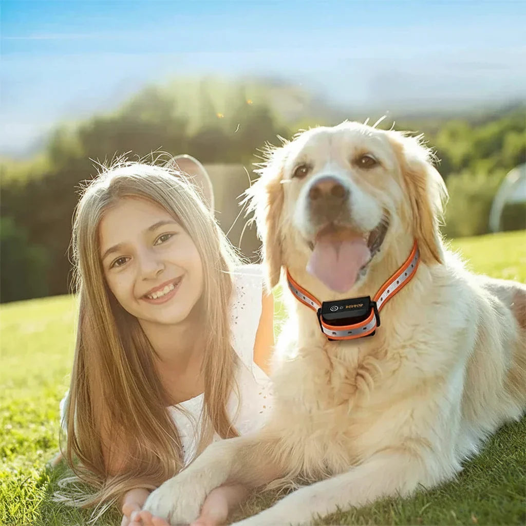 Honden trainingshalsband systeem met afstandsbediening en negen verstelbare schokniveaus voor gepersonaliseerde hondentraining op afstand