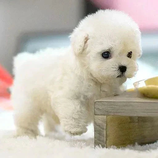 Bruine pluchen hond met realistische details en kwispelende staart functie voor interactief speelplezier